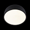Светильник LOFT IT 10201/350 Black