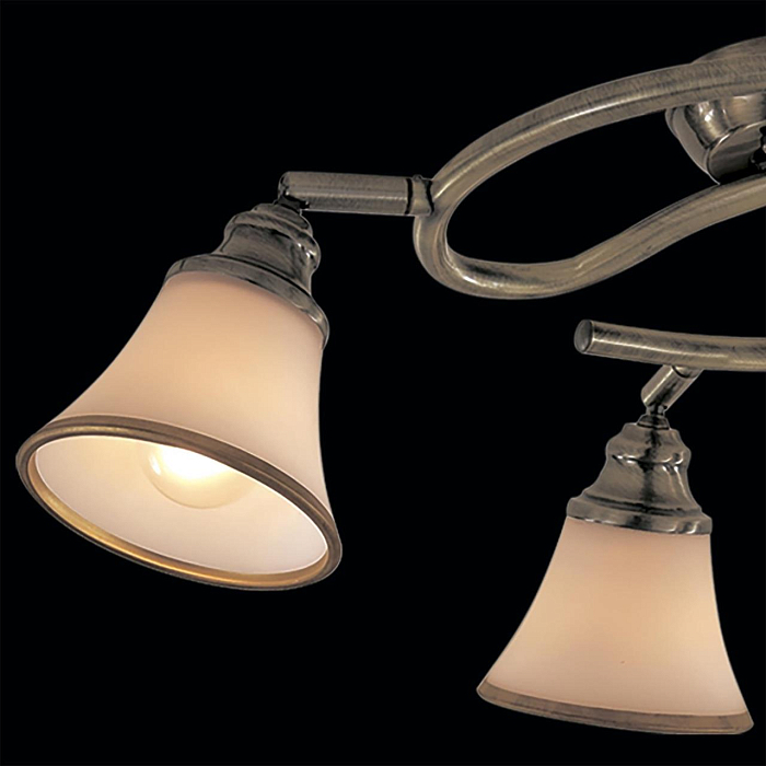 Спот Citilux CL511143